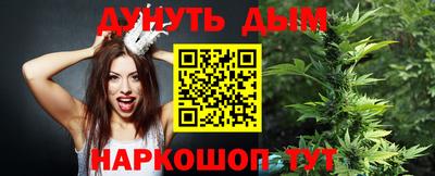 стафф Краснознаменск